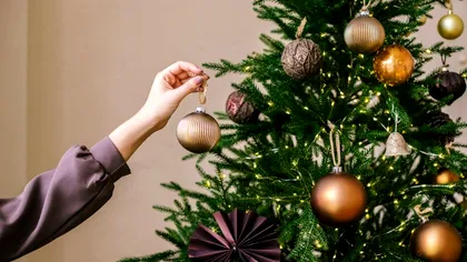 Când se împodobește bradul de Crăciun, potrivit tradiției. Ce semnificație are acesta, de fapt