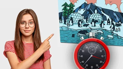 Testul de atenție care arată dacă ai un IQ ridicat. Găsești foca ascunsă printre pinguini în 20 de secunde?