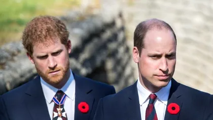 Vestea momentului despre familia regală britanică. Ce se întâmplă între Prințul Harry și Prințul William