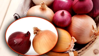 Care este diferența dintre ceapa albă și ceapa roșie. Detalii pe care trebuie să le știe orice gospodină