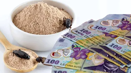 Cât costă făina de greiere în România. Se vinde la suta de grame, preţul e colosal