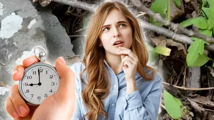 Test de atenţie. Găseşte şopârla din imagine în 5 secunde! E greu, doar 6% dintre oameni reuşesc!