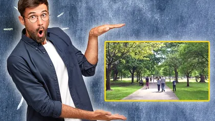 Testul care îţi arată cât de bine stai cu vederea. Găseşte veveriţa ascunsă în parc cât mai repede! Ai curaj să încerci?