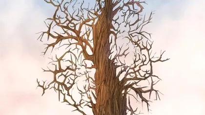 Iluzia optică a săptămânii. Găseşte cât mai repede cei trei iepuraşi ascunşi în copac. Ai reuşit?