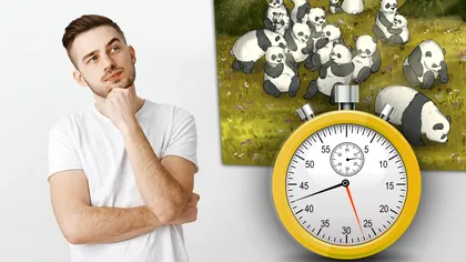 Iluzia optică a zilei. Unde este ratonul ascuns din imagine? Doar 5% dintre oameni îl găsesc în 15 secunde