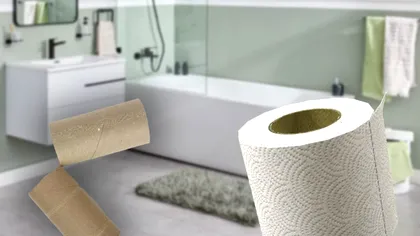 Trucul cu hârtie igienică pentru baia ta. Ce să faci cu tubul de carton, de fapt