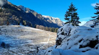 Animal unic în România, surprins de camere în Bucegi. Nu s-a mai văzut aşa ceva la noi ţară