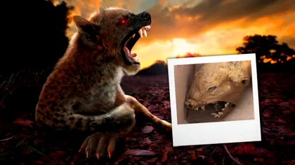 Creatura din Carpați care a îngrozit lumea științei. Nimeni nu știe ce e, dar au o bănuială sumbră FOTO