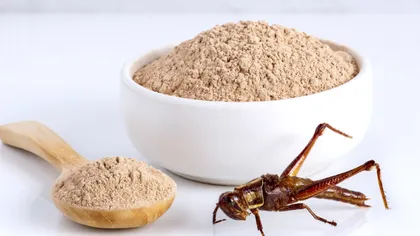 Cum îţi dai seama dacă produsele cumpărate conţin insecte. Ce trebuie să scrie pe etichetă