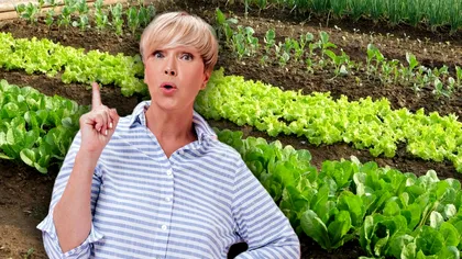 Cum ucizi buruienile fără să-ți rănești plantele din grădină. Trucurile de la experți sunt doar aici