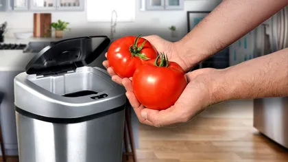 Momentul în care trebuie neapărat să arunci roșiile. Detaliul la care trebuie să fii atent