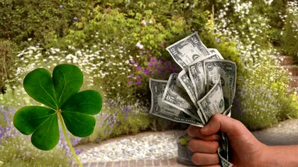 Plantele pe care trebuie să le ai primăvara în curte. Atrag abundența