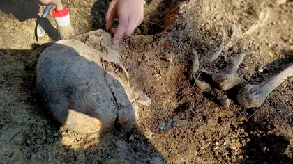 Se plimba şi a dat peste o adevărată comoară. Ce a descoperit un bărbat din Bacău chiar lângă o cale ferată