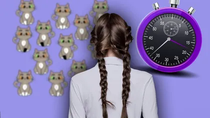 Testul de atenție pentru genii. Găsești pisica atipică în doar 12 secunde?