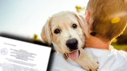 Vești crunte pentru stăpânii de animale de companie din România. Decizia e definitivă