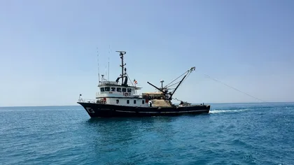 Creatura preistorică găsită de un pescar în adâncuri. Arată înspăimântător și e veche de milioane de ani