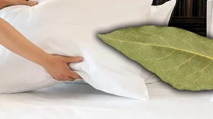A pus o frunză de dafin sub pernă și a descoperit un truc genial. Ce beneficii are