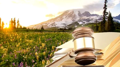 Amenzi de 5.000 de lei dacă rupi această plantă. E protejată de lege