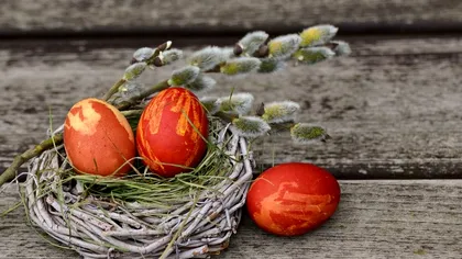 Ce este bine să faci cu cojile ouălor de Paște. Nu le arunca sub nicio formă la gunoi