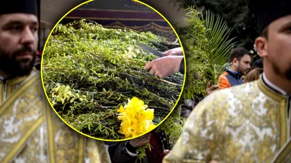 Ce este bine să faci cu salcia sfințită de Florii. Așa vei fi ferit de boli și de necazuri