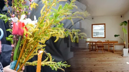 Ce semnificație are salcia și de ce este bine să o ai în casă de Florii