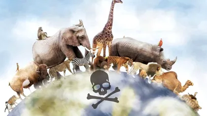 Cel mai mortal animal din lume. Mulți vor fi surprinși, mai ales că nu pare periculos