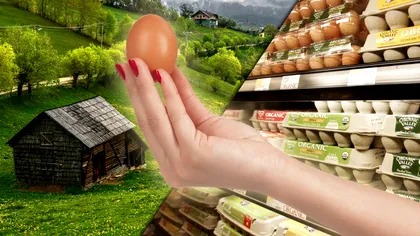 Cum îţi dai seama că un ou este de ţară. Detaliul care îţi arată că e unul sănătos