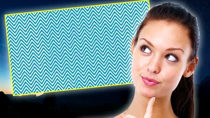 Iluzie optică pentru genii. Doar 5% găsesc răspunsul corect. Unde se află bufnița ascunsă în imagine