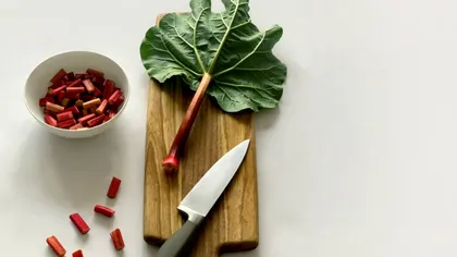 Trucurile prin care să cultivi și să crești rubarbă. Vei avea o recoltă bogată