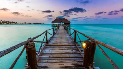 Drama trăită de o familie de români după ce a ajuns în vacanța mult visată. Destinația aleasă este râvnită de mulți conaționali