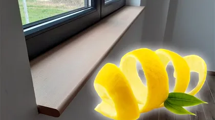 A pus coji de lămâie pe pervaz şi a scăpat de o mare problemă. E trucul primăverii 2023