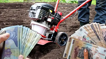 Afacerea cu care Cătălin din Neamț a dat lovitura! Toți românii se înghesuie să cumpere de la el