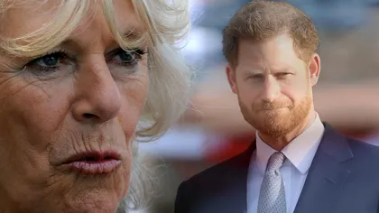 Camilla, reacție fără precedent la adresa Prințului Harry. Nu-l va ierta niciodată