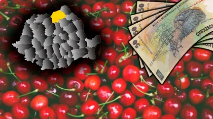 Cât costă un kilogram de cireșe în Suceava. Prețurile au luat-o razna: ‘Să le țină pe tarabă’