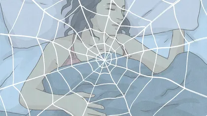 Ce înseamnă păianjenii în vis. Semnul la care trebuie să fii atent