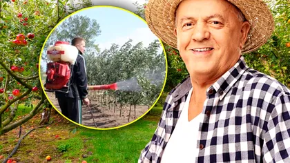 Cu ce să stropeşti neapărat merii în luna aprilie. Aşa ţii departe dăunătorii