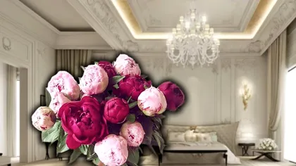 Curiozități despre bujori. Erau florile bogaților în trecut, detalii care te vor surprinde