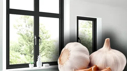 De ce să pui usturoi la ferestre, de fapt. Mulți oameni procedează așa, detaliul pe care nu îl știai