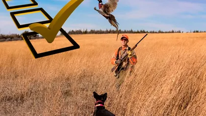 Liber la vânătoare în România. S-a schimbat legea, pasărea rară care poate fi vânată fără restricții