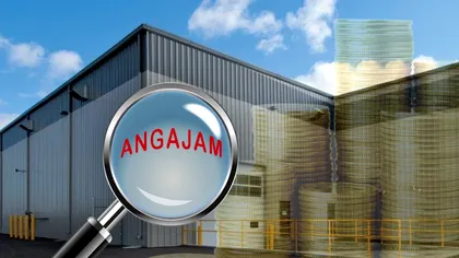 O nouă fabrică de proporții în România. Angajările vor curge pe bandă rulantă, investiție de zeci de milioane