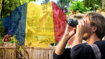Oraşul cu cea mai frumoasă grădină zoologică din România. Doar aici găseşti girafe şi elefanţi! E un loc superb