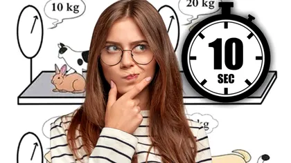 Test care îţi arată cât eşti de inteligent. Ce greutate au pisica, iepurele sau câinele? Ai doar 10 secunde la dispoziţie să ghiceşti!
