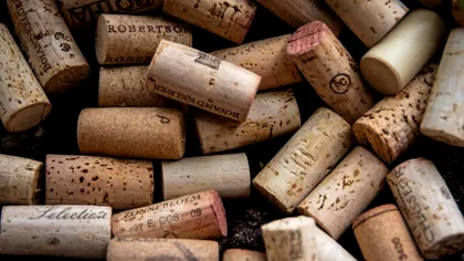 Uită de bicarbonatul de sodiu! De ce să pui un dop de vin în frigider, o să îţi pară rău că nu ai ştiut până acum