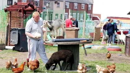 Ce animale nu mai au voie românii să crească în curte. Legea s-a schimbat, pedepsele sunt aspre