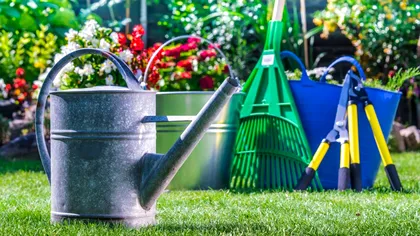 De ce să presari zahăr în grădină. Totul se va schimba în doar câteva zile