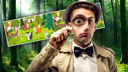 Ai o privire de șoim dacă găsești diferențele dintre cele două imagini în 10 secunde. Numai 5% dintre internauți le-au ghicit