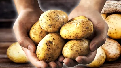 Care sunt cei mai sănătoşi cartofi, de fapt. Cei albi sau cei roz?