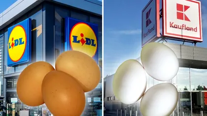 Diferențele dintre ouăle albe și ouăle maro din Lidl, Kaufland și alte magazine. Ce să știi înainte să le cumperi