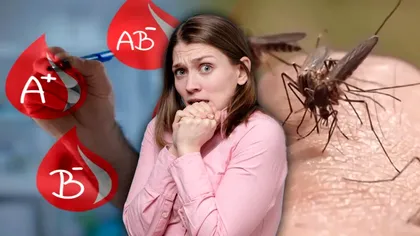 Grupa de sânge care atrage ţânţarii ca magnetul. De asta unii sunt muşcaţi mereu