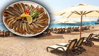 Hamsia prăjită, mâncarea preferată pe litoral. Cum eşti păcălit la restaurante, detaliul la care să fii atent